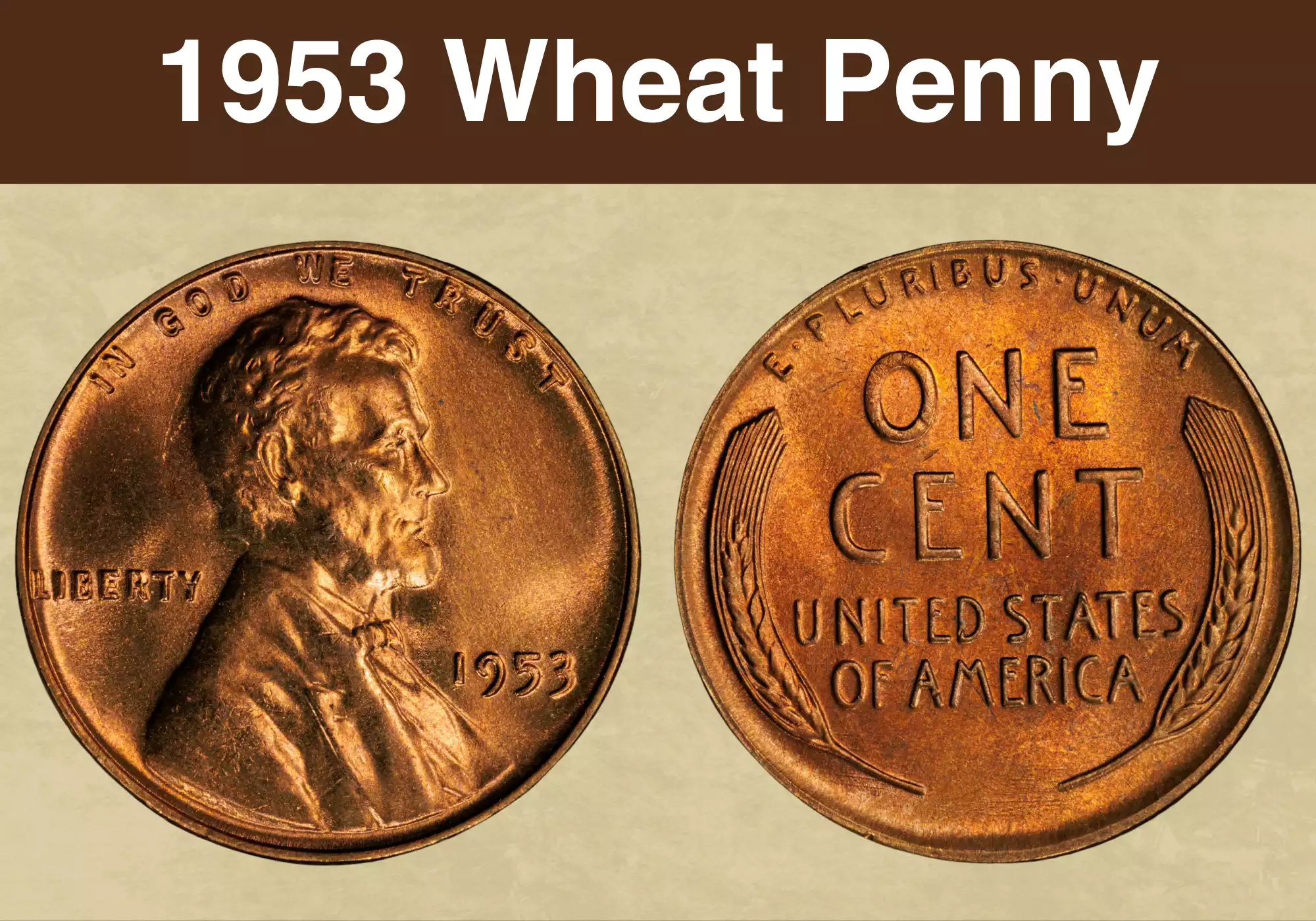 1953 Lincoln Wheat Penny obverse and reverse showing copper color, Lincoln portrait, and wheat stalks